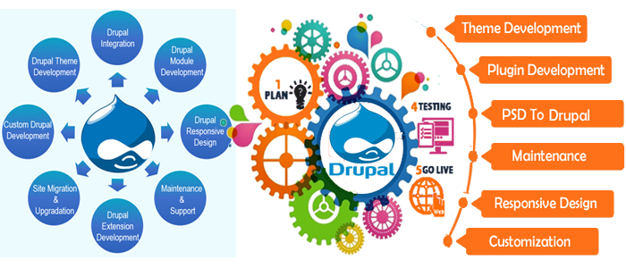  Drupal website Development 