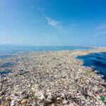 Great Pacific Garbage Patch