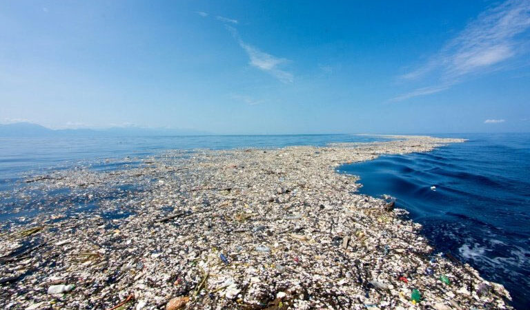 Trash Island: Concerning Facts About The Great Pacific Garbage Patch