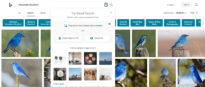 Reverse Image Search on Bing