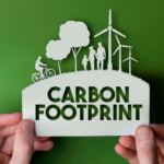 Reducing Your Carbon Footprint