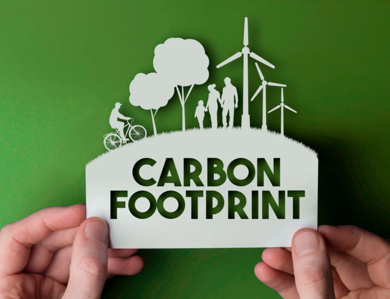 Reducing Your Carbon Footprint