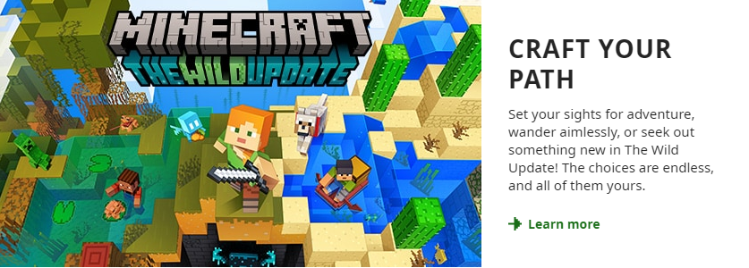 Minecraft Download 1.17.10