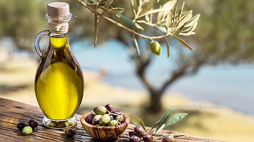 Wellhealthorganic.com:Diet-For-Excellent-Skin-Care-Oil-Is-An-Essential-Ingredient