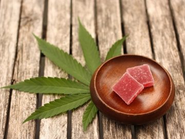 8 Things to Know When Trying Edibles for the First Time