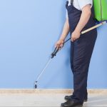 How to Choose a Residential Pest Control Company