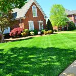 3 Benefits of Organic Lawn Care for a Healthy Lawn