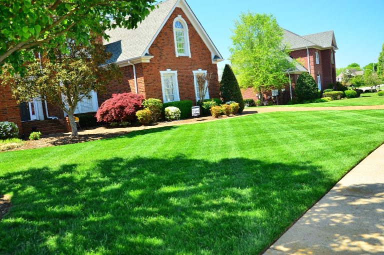 3 Benefits of Organic Lawn Care for a Healthy Lawn