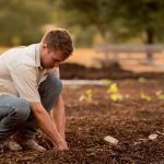 The Key Steps on How to Become a Farmer With No Money