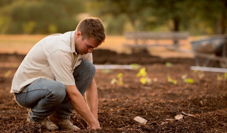 The Key Steps on How to Become a Farmer With No Money