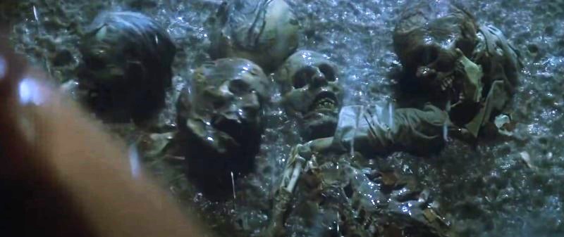 The 1982 Movie Poltergeist used Real Skeletons as - Tymoff