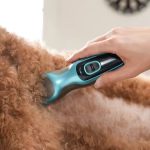 Common Mistakes to Avoid When Grooming Your Dog at Home